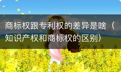 商标权跟专利权的差异是啥（知识产权和商标权的区别）