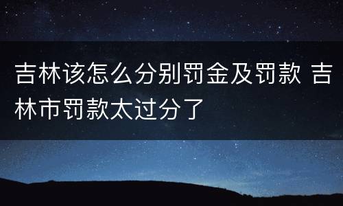 吉林该怎么分别罚金及罚款 吉林市罚款太过分了