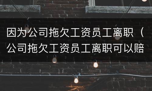 因为公司拖欠工资员工离职（公司拖欠工资员工离职可以赔偿吗）