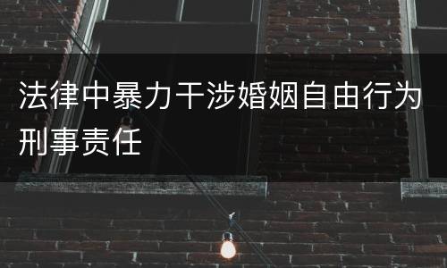 法律中暴力干涉婚姻自由行为刑事责任