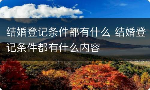 结婚登记条件都有什么 结婚登记条件都有什么内容