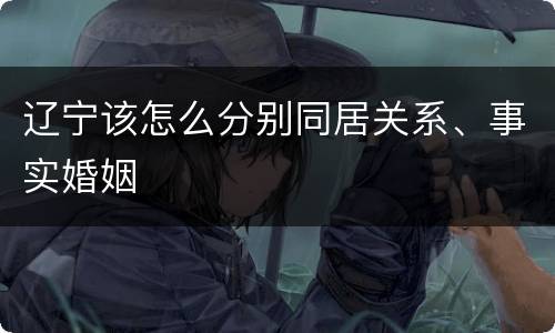 辽宁该怎么分别同居关系、事实婚姻