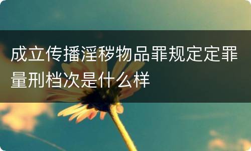 成立传播淫秽物品罪规定定罪量刑档次是什么样
