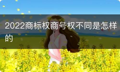 2022商标权商号权不同是怎样的