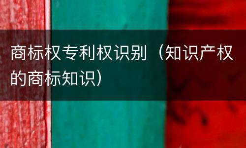 商标权专利权识别（知识产权的商标知识）