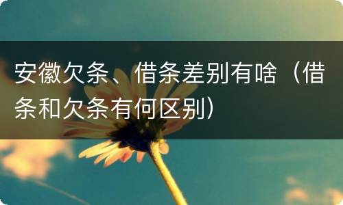 安徽欠条、借条差别有啥（借条和欠条有何区别）