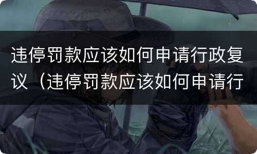 违停罚款应该如何申请行政复议（违停罚款应该如何申请行政复议流程）