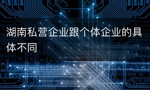 湖南私营企业跟个体企业的具体不同