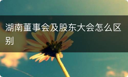 湖南董事会及股东大会怎么区别