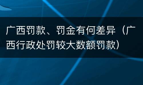 广西罚款、罚金有何差异（广西行政处罚较大数额罚款）