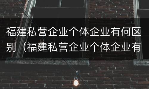 福建私营企业个体企业有何区别（福建私营企业个体企业有何区别呢）