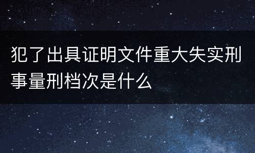 犯了出具证明文件重大失实刑事量刑档次是什么