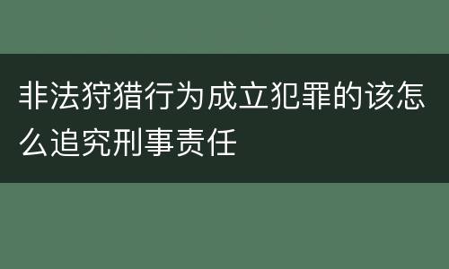 非法狩猎行为成立犯罪的该怎么追究刑事责任