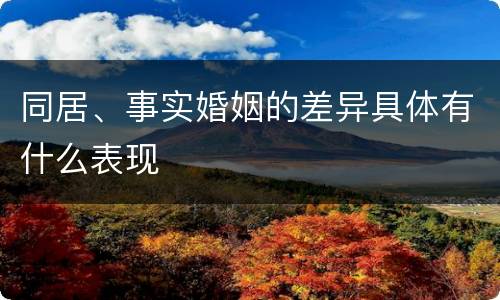同居、事实婚姻的差异具体有什么表现