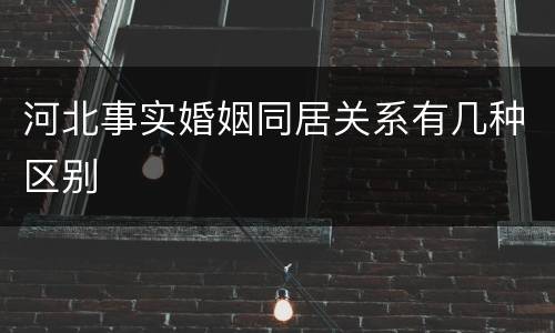 河北事实婚姻同居关系有几种区别