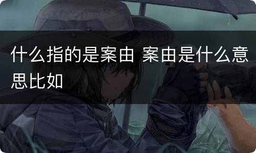 什么指的是案由 案由是什么意思比如