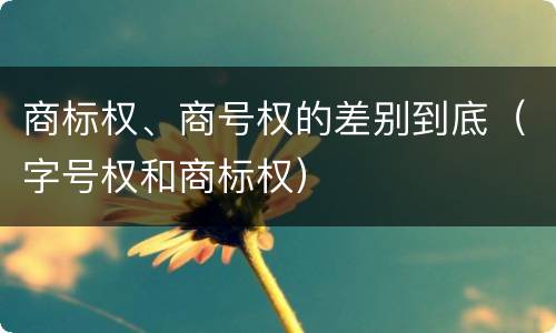 商标权、商号权的差别到底（字号权和商标权）