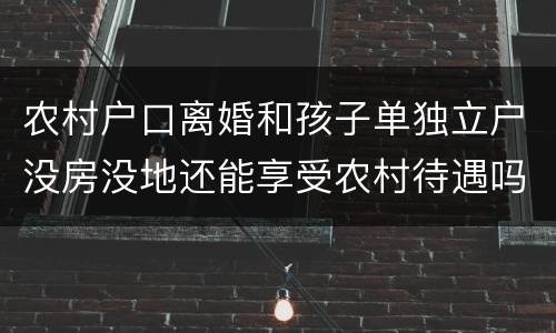 农村户口离婚和孩子单独立户没房没地还能享受农村待遇吗