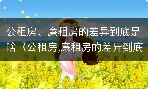 公租房、廉租房的差异到底是啥（公租房,廉租房的差异到底是啥意思）