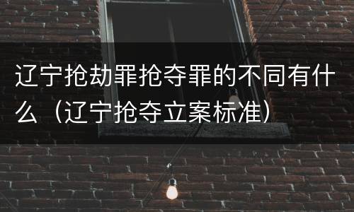 辽宁抢劫罪抢夺罪的不同有什么（辽宁抢夺立案标准）