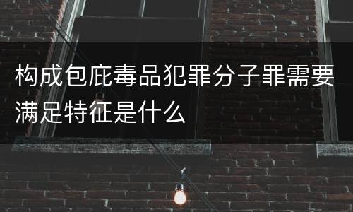 构成包庇毒品犯罪分子罪需要满足特征是什么