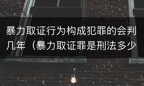 暴力取证行为构成犯罪的会判几年（暴力取证罪是刑法多少条）
