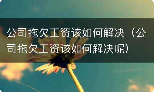 公司拖欠工资该如何解决（公司拖欠工资该如何解决呢）