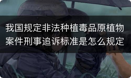我国规定非法种植毒品原植物案件刑事追诉标准是怎么规定