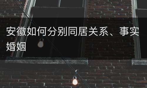 安徽如何分别同居关系、事实婚姻