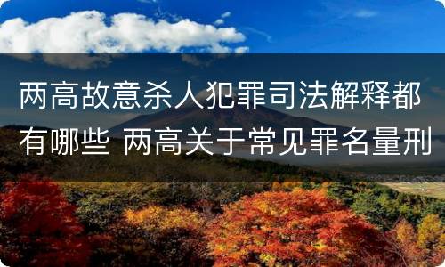 两高故意杀人犯罪司法解释都有哪些 两高关于常见罪名量刑指导