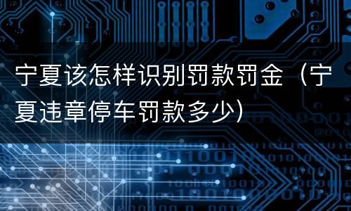 宁夏该怎样识别罚款罚金（宁夏违章停车罚款多少）