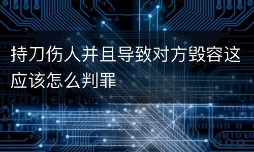 持刀伤人并且导致对方毁容这应该怎么判罪