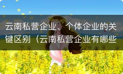 云南私营企业、个体企业的关键区别（云南私营企业有哪些）