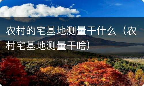 农村的宅基地测量干什么（农村宅基地测量干啥）