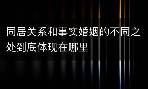 同居关系和事实婚姻的不同之处到底体现在哪里