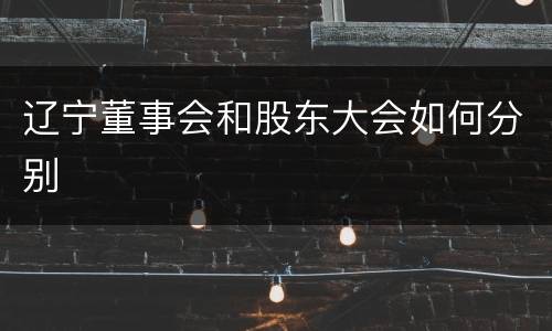 辽宁董事会和股东大会如何分别