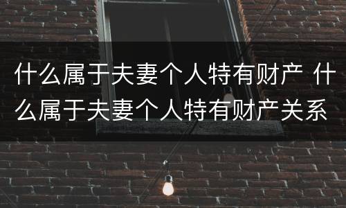什么属于夫妻个人特有财产 什么属于夫妻个人特有财产关系