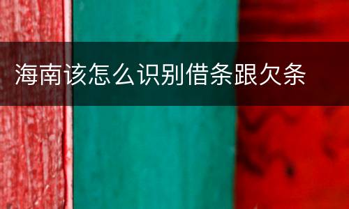 海南该怎么识别借条跟欠条