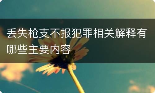 丢失枪支不报犯罪相关解释有哪些主要内容