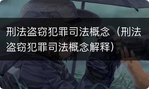 刑法盗窃犯罪司法概念（刑法盗窃犯罪司法概念解释）