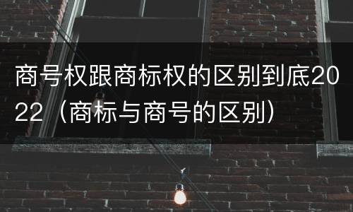 商号权跟商标权的区别到底2022（商标与商号的区别）