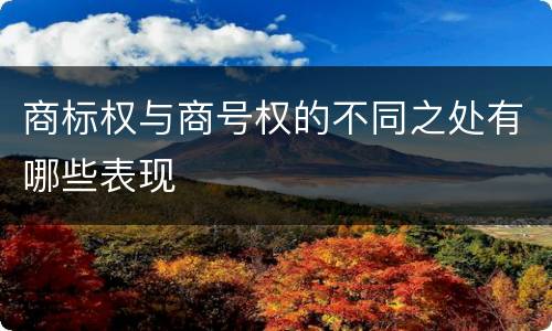 商标权与商号权的不同之处有哪些表现