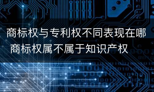 商标权与专利权不同表现在哪 商标权属不属于知识产权