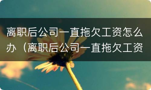 离职后公司一直拖欠工资怎么办（离职后公司一直拖欠工资怎么办理）