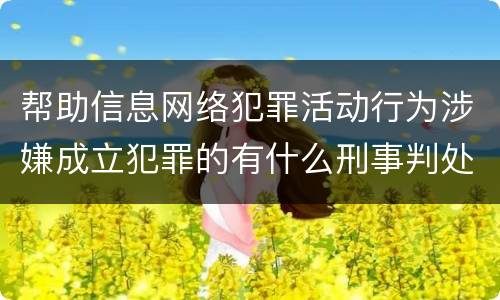 帮助信息网络犯罪活动行为涉嫌成立犯罪的有什么刑事判处
