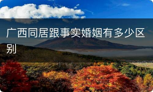 广西同居跟事实婚姻有多少区别