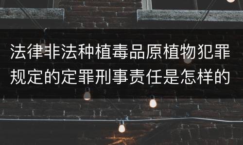 法律非法种植毒品原植物犯罪规定的定罪刑事责任是怎样的