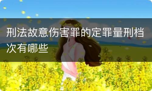 刑法故意伤害罪的定罪量刑档次有哪些