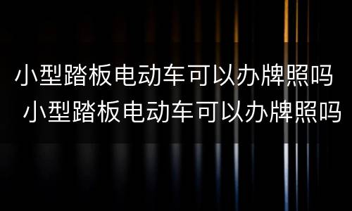小型踏板电动车可以办牌照吗 小型踏板电动车可以办牌照吗北京