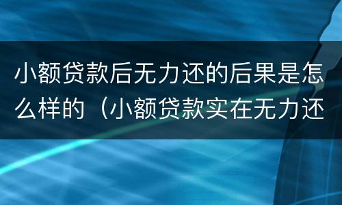 小额贷款后无力还的后果是怎么样的（小额贷款实在无力还了怎么办）